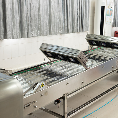 220V/380V পাওয়ার সাপ্লাই সহ উত্পাদন লাইনের জন্য মার্শালিং কুলিং কনভেয়র