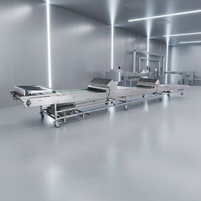 কারখানার সরাসরি বিক্রয় স্বয়ংক্রিয় মার্শালিং কুলিং কনভেয়র, আনুষাঙ্গিক সহ