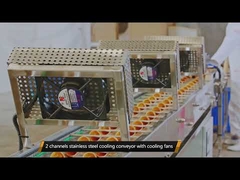 চিনি শঙ্কু উত্পাদন লাইন