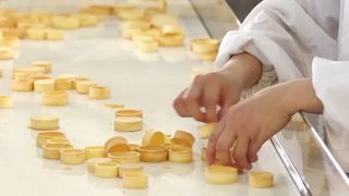 স্বয়ংক্রিয় টার্ট শেল উত্পাদন লাইন